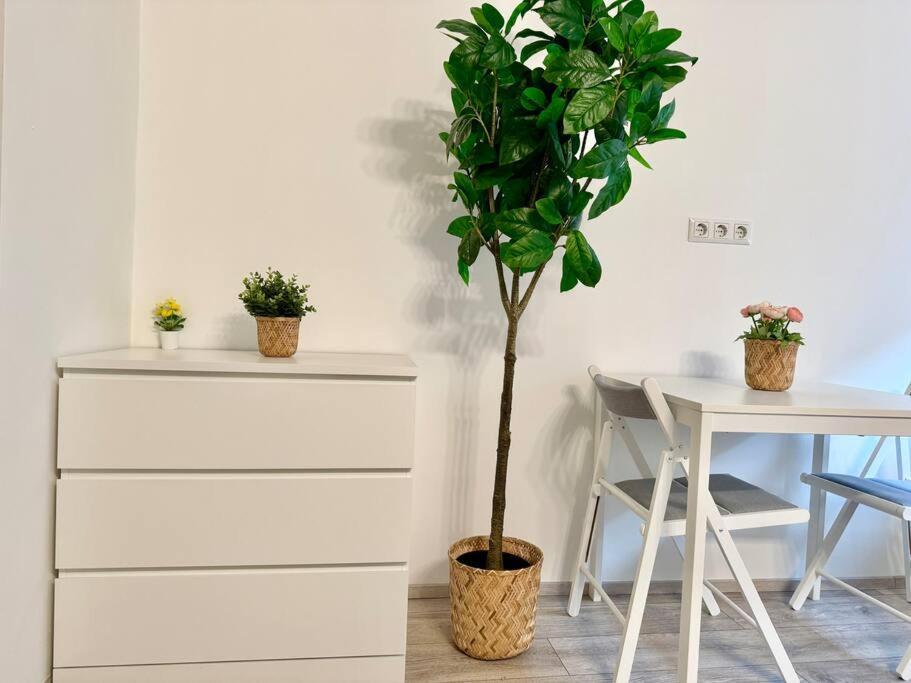 Easy Suites - Free Underground Parking Βιέννη Εξωτερικό φωτογραφία