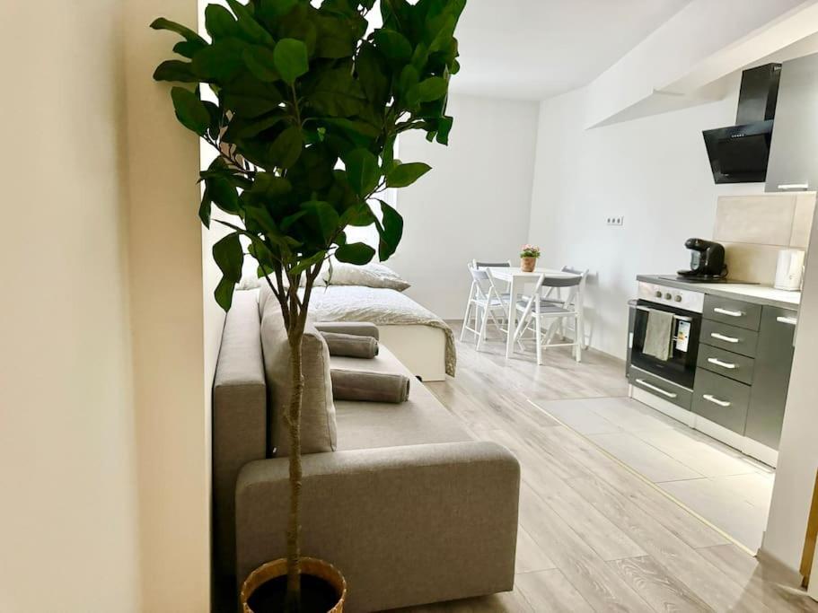 Easy Suites - Free Underground Parking Βιέννη Εξωτερικό φωτογραφία